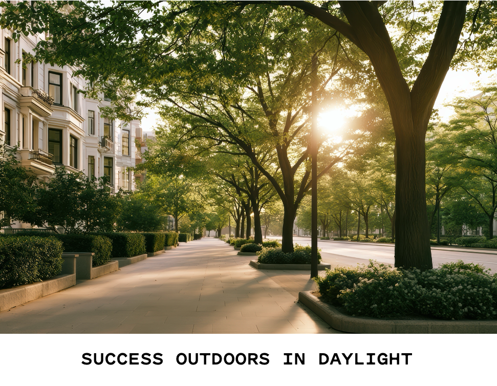 Success Outdoors in Daylight